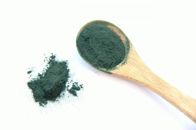 La spiruline : une algue microscopique